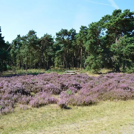 Chalet With Balcony In Veluwe, Cleaning Included Garderen